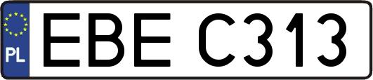 EBEC313