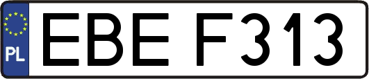 EBEF313