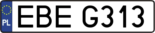 EBEG313