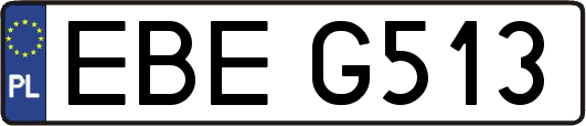 EBEG513