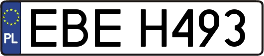 EBEH493