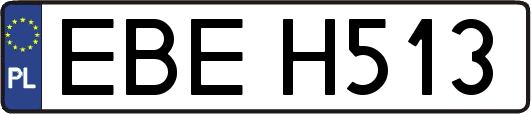 EBEH513