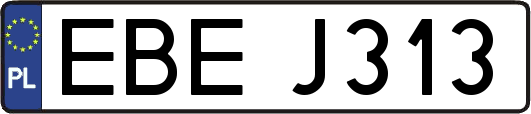 EBEJ313