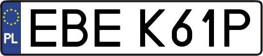 EBEK61P