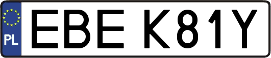 EBEK81Y