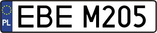 EBEM205