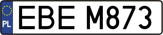 EBEM873