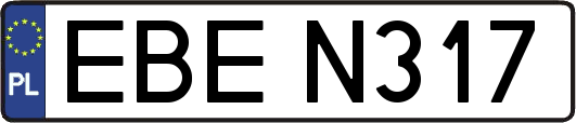 EBEN317