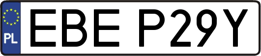 EBEP29Y