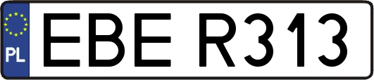 EBER313