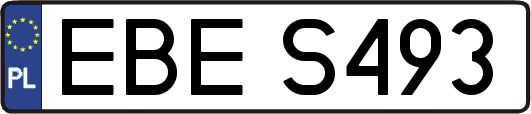 EBES493