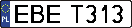 EBET313