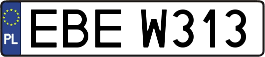 EBEW313