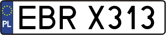 EBRX313