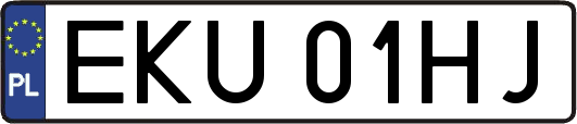 EKU01HJ