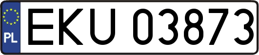 EKU03873