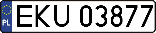 EKU03877