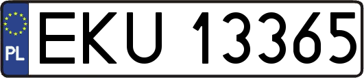 EKU13365