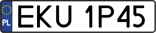 EKU1P45