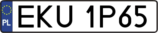 EKU1P65