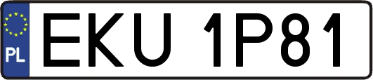 EKU1P81