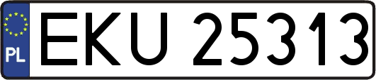 EKU25313