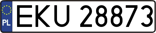 EKU28873
