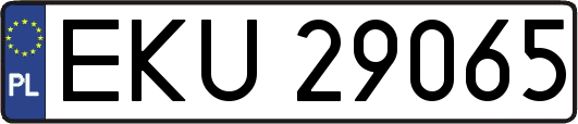 EKU29065
