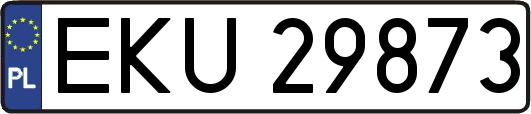 EKU29873