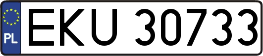 EKU30733