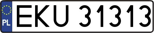 EKU31313
