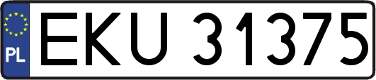 EKU31375