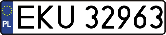 EKU32963