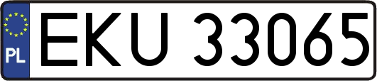 EKU33065