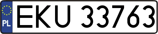 EKU33763