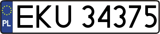 EKU34375