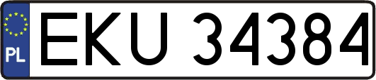 EKU34384