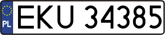 EKU34385