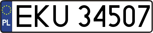 EKU34507