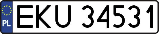 EKU34531