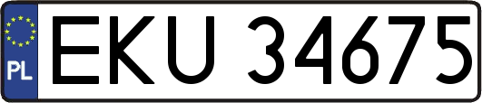 EKU34675