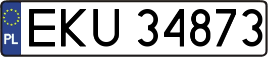 EKU34873