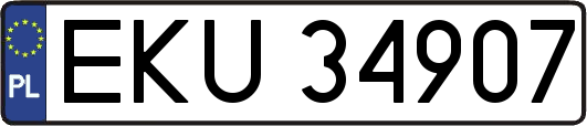 EKU34907