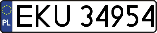 EKU34954
