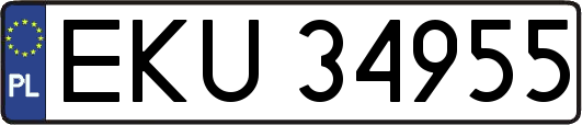 EKU34955