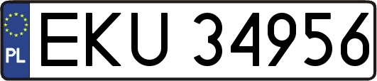 EKU34956