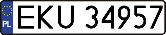 EKU34957