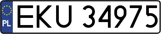 EKU34975
