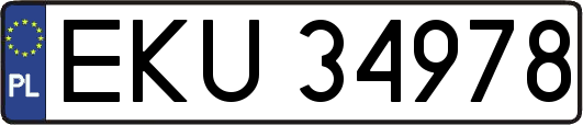 EKU34978