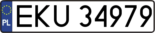 EKU34979